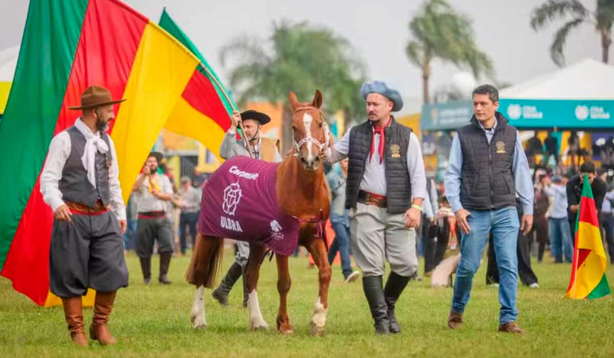 Cavalo Caramelo no Desfile dos Grandes Campeões da Expointer 2024 - Foto: Jürgen Mayrhofer/Secom