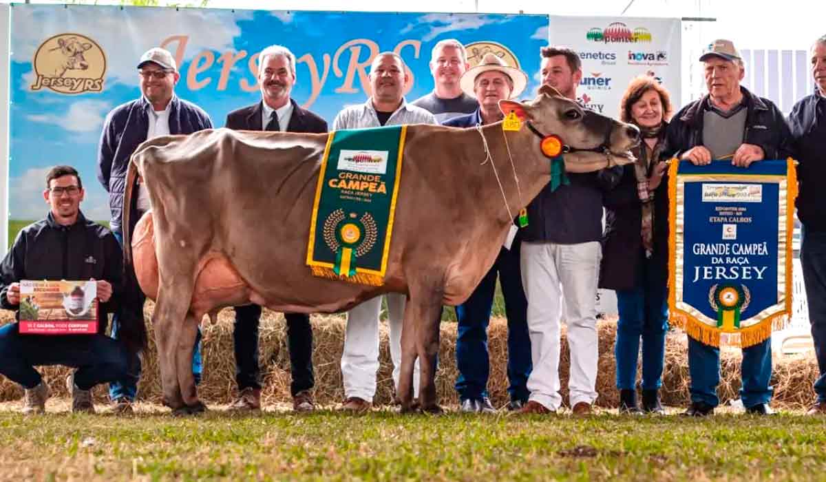 Nanda Celebrity Aviostoso, a vaca do expositor Carlos Jacob Wallauer (Salvador do Sul-RS), sagrou-se Suprema Campeã do Gado de Leite da Expointer 2024