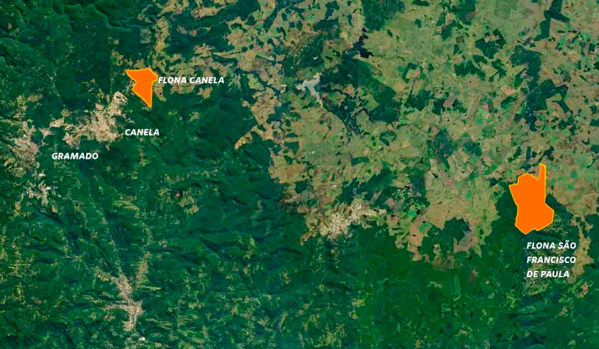 Entre a Serra e o Planalto gaúchos, ás áreas em destaque das Flonas de Canela (esquerda) e de São Francisco de Paula (direita) - Foto: ICMBio/Google Earth/O Eco