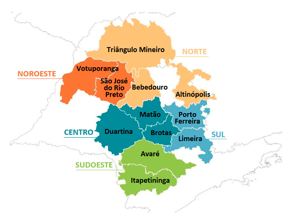 Divisão do cinturão citrícola em 5 setores e 12 regiões