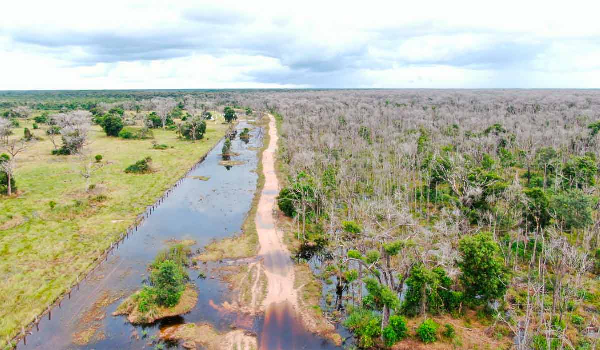 Áreas do Pantanal no MT destruídas por agrotóxicos jogados de avião pelo fazendeiro Claudecy Oliveira Lemes