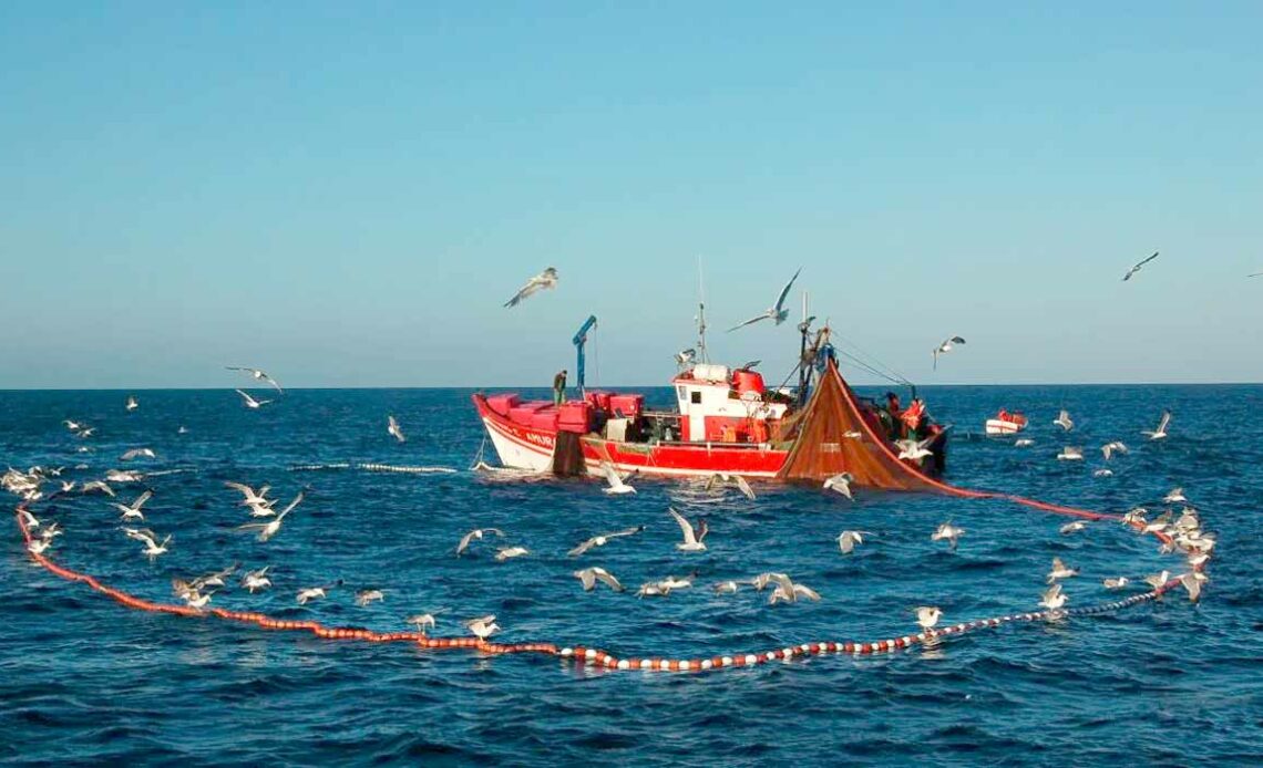 Pesca de cerco com traineira - Foto - Nuno Barros