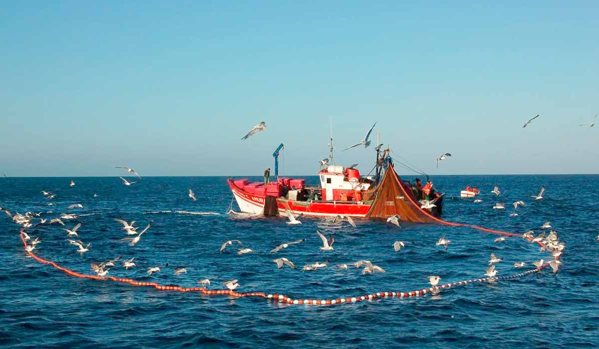 Pesca de cerco com traineira - Foto - Nuno Barros