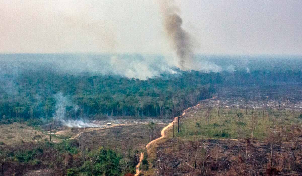 Área queimada ilegalmente - Foto: InfoAmazônia