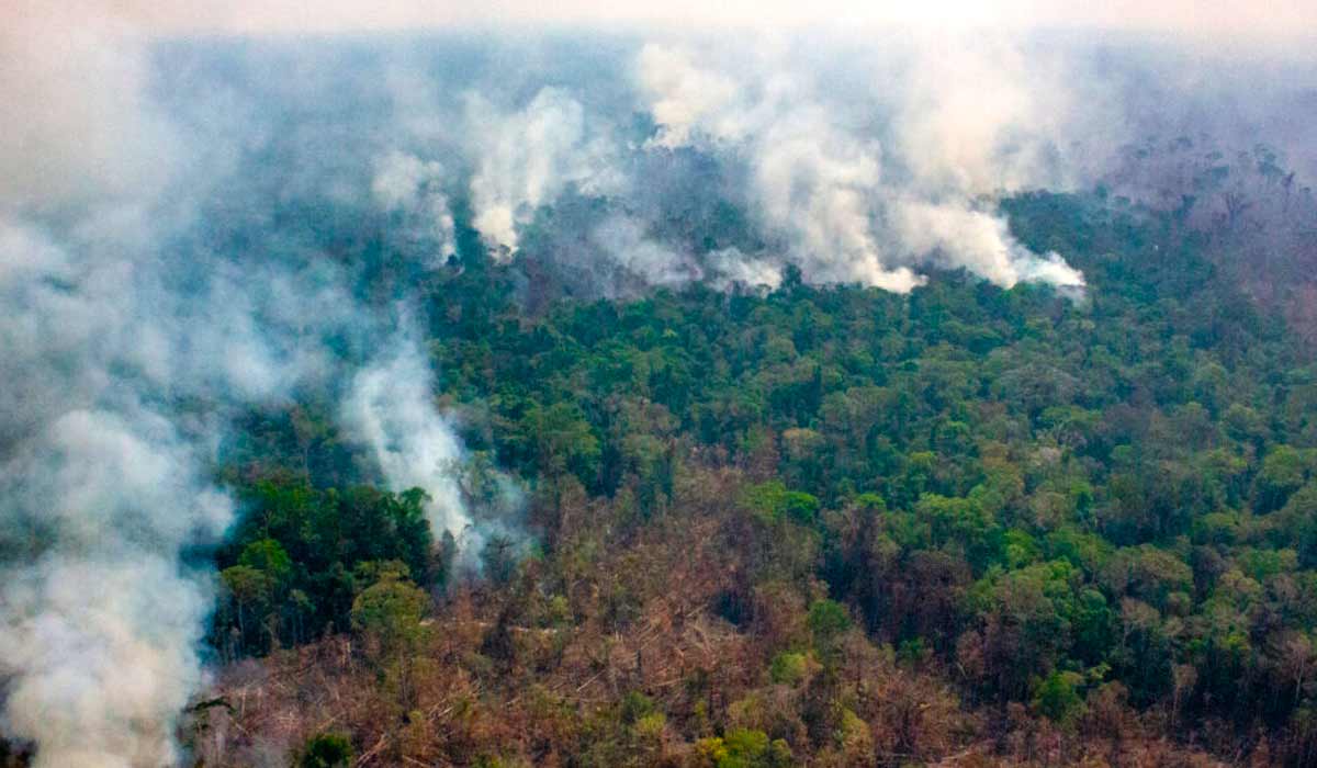 Focos de incêndio próximo de reserva ecológica do Mapinguari, no Amazonas - Foto: Fábio Bispo/InfoAmazonia