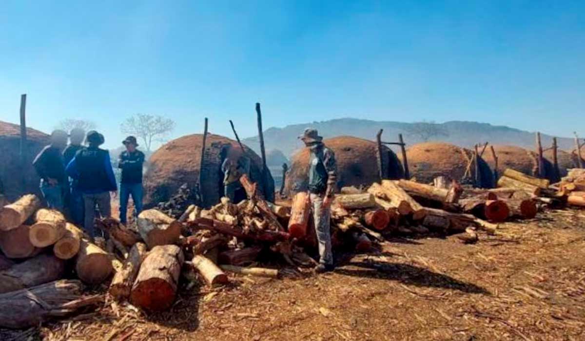 Trabalhadores paraguaios foram resgatados quando realizavam as atividades de carvoejamento