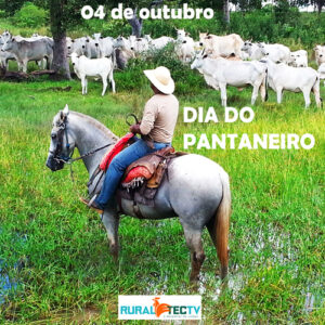 Dia do Pantaneiro