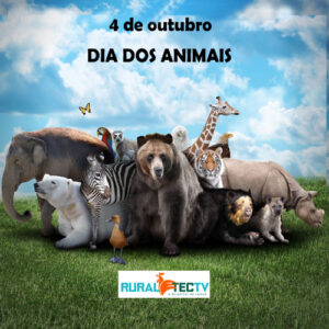 Dia dos Animais