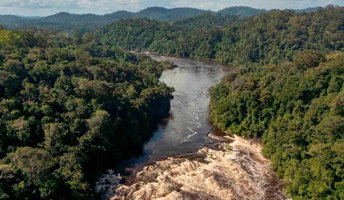 A nova área protegida abrange cerca de 560 mil hectares de floresta amazônica - Foto: Fernando Sette