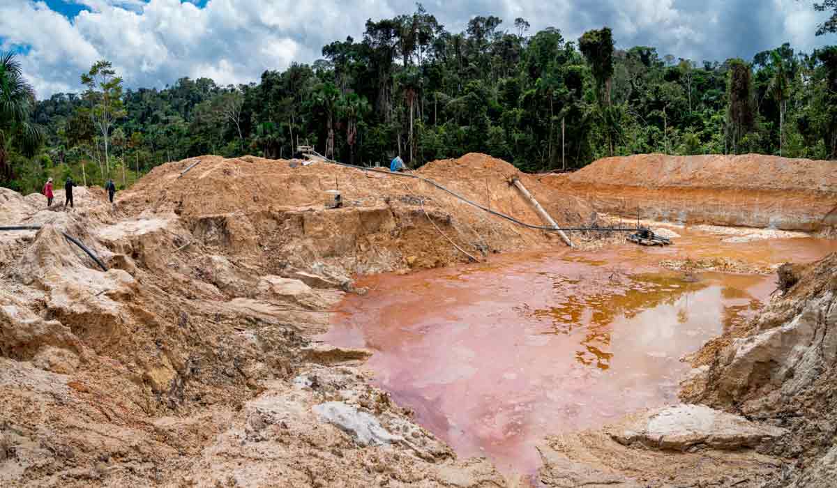 Escavadeiras e tatuzões são usados para revolver os rios em busca de ouro, com graves impactos ambientais - Foto: Fernando Martinho