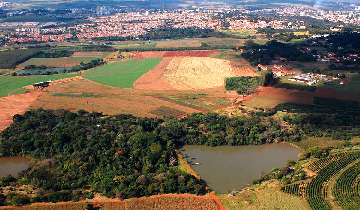 A área da Fazenda Santa Elisa do IAC, em Campinas, SP