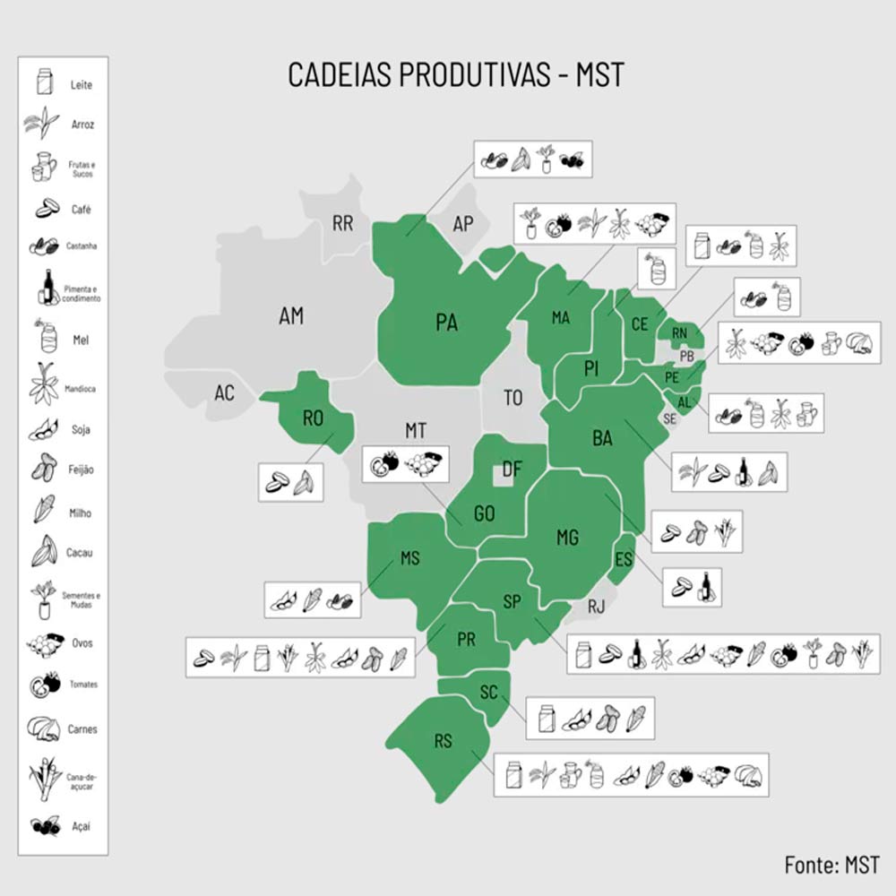 Cadeias produtivas do MST