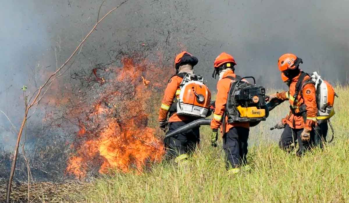 A maioria dos focos de incêndio é intencional, aproveitando-se de condições ambientais desfavoráveis, como a seca e altas temperaturas - Foto: CNN