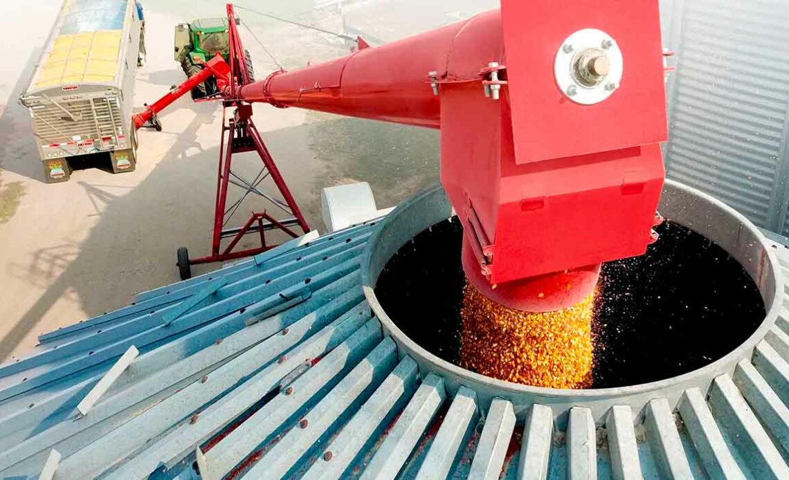 Silo sendo abastecido por sistema de elevadores que facilita a movimentação vertical dos grãos