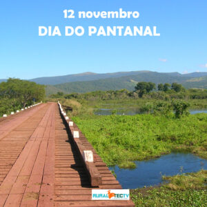 Dia do Pantanal