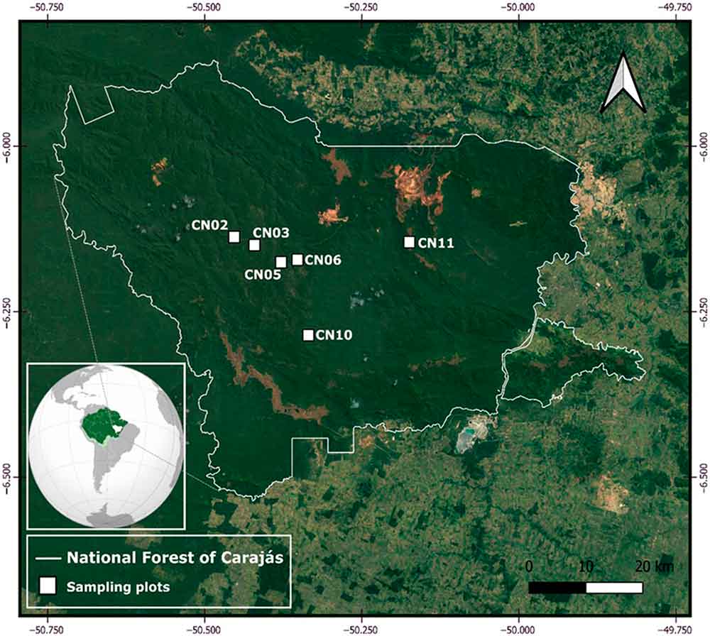 Floresta Nacional de Carajás (delimitação branca), área protegida no sudoeste do estado do Pará, Brasil. Quadrados indicam os locais dos seis pontos de amostragem onde os gráficos de vegetação foram feitos e onde cada um dos protocolos de amostragem de abelhas foi realizado. Verde escuro representa a vegetação da Floresta Amazônica, e vermelho claro representa campos ferruginosos (conhecidos localmente como vegetação de canga). Para a região leste fora da Floresta Nacional, o mosaico agrícola-florestal é representado por uma cor verde mais clara