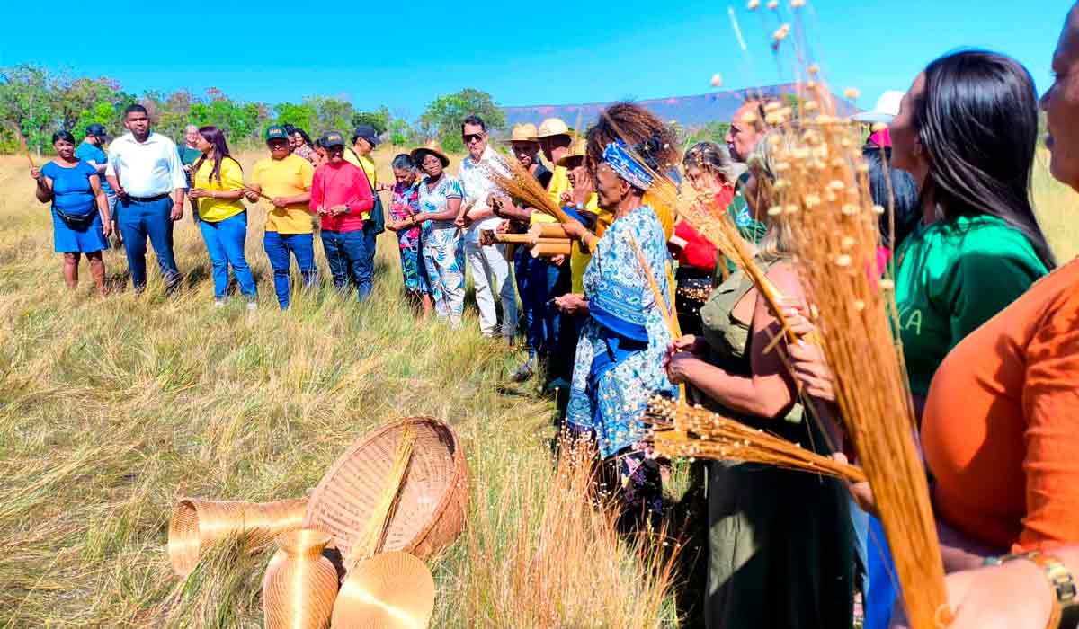 A comunidade se reúne para a Festa da Colheita do capim dourado