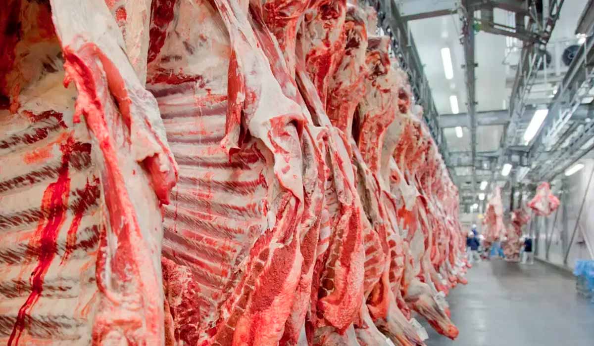 Frigoríficos brasileiros cortam fornecimento de carne para as redes Carrefour, Atacadão e Sam's Club