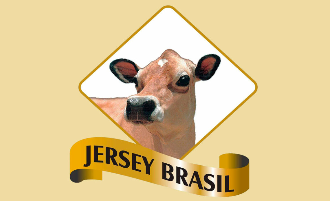 Jersey Brasil