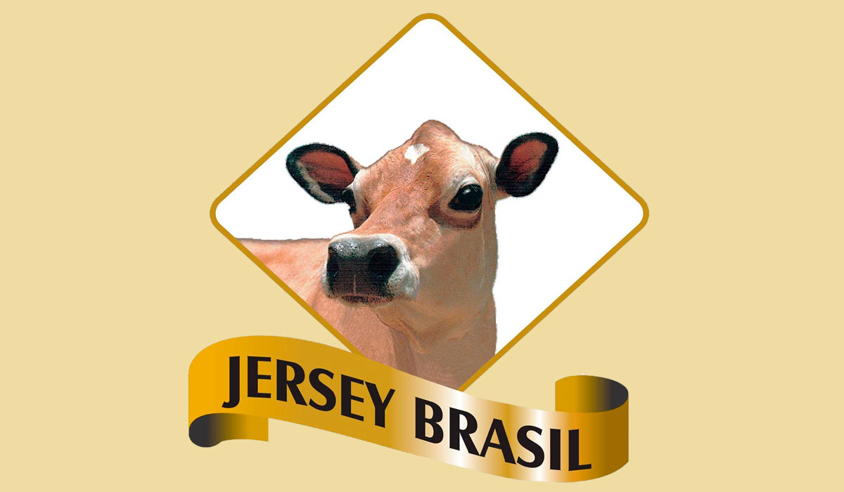 Jersey Brasil