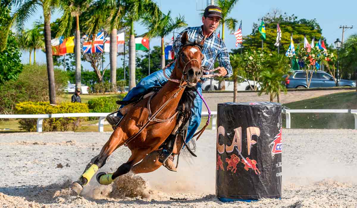 A Nacional do Cavalo Árabe de Esporte destaca a capacidade multifuncional da raça