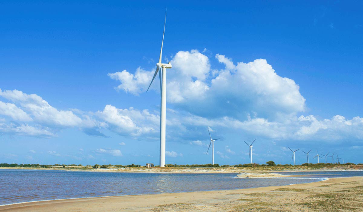 Rio Grande do Norte avança na produção de energia eólica