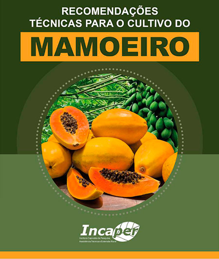 Capa da publicação "Recomendações técnicas para o cultivo do mamoeiro"