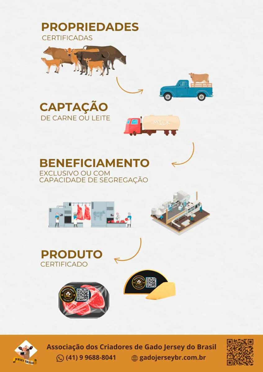 Ilustração do processo de certificação Jersey