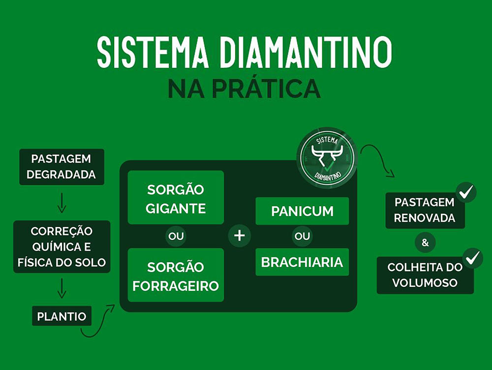 Ilustração do Sistema Diamantino