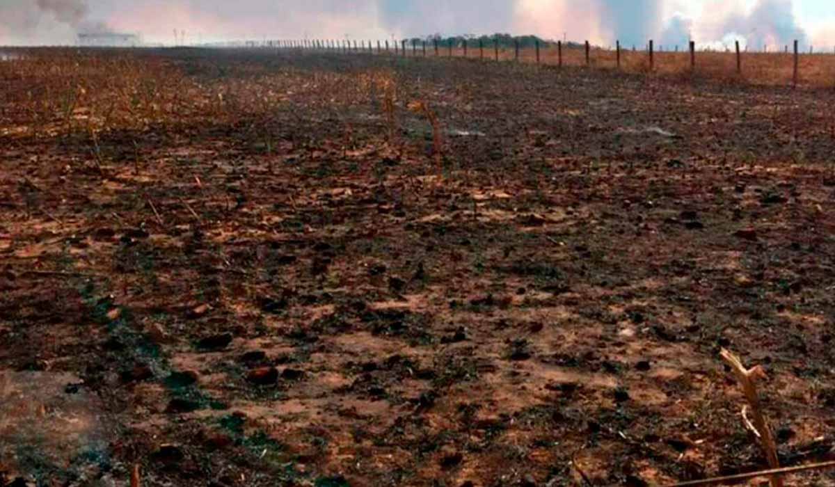 Vasta área de solo agricultável atingida por queimada