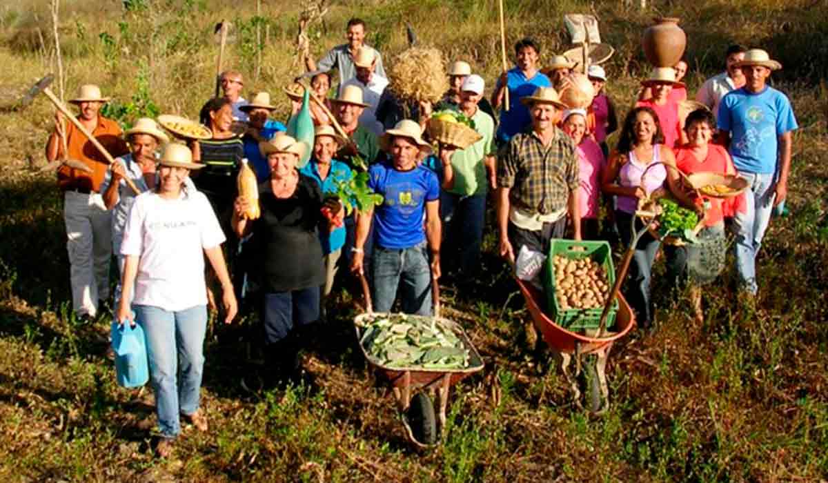 Reforma agrária reduz pobreza no campo e alivia tensões sociais nas zonas urbanas - Foto: Codevasf