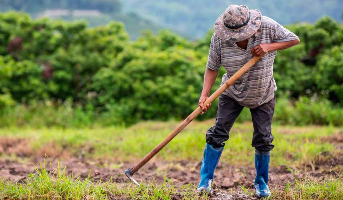 Além de uma reforma agrária, o país precisa de uma reforma agrícola. Não é mais possível o pequeno produtor ficar na era da enxada. É preciso tecnologia para o produtor familiar