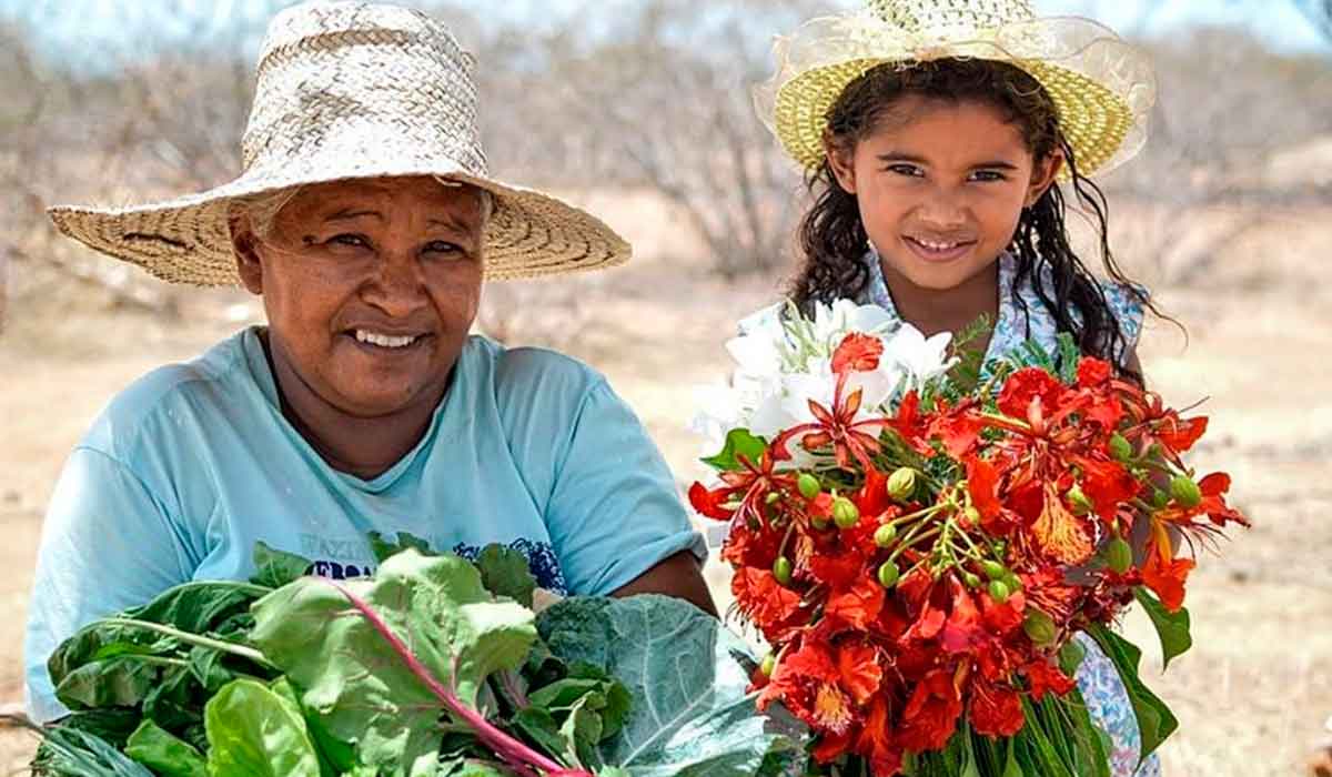 Duas gerações. Mulheres sofrem com falta de financiamento para agricultura familiar no nordeste - Foto: Juliano Adriano/MST