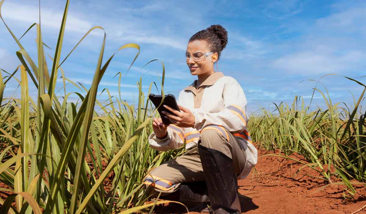 Engenheira agrônoma em trabalho de campo