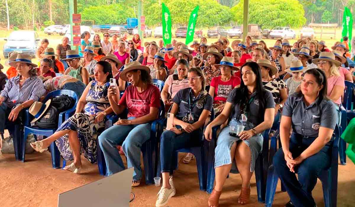 Essas iniciativas transformam e empoderam cada vez mais mulheres, fortalecendo não só seus negócios, mas também suas vidas e suas comunidades