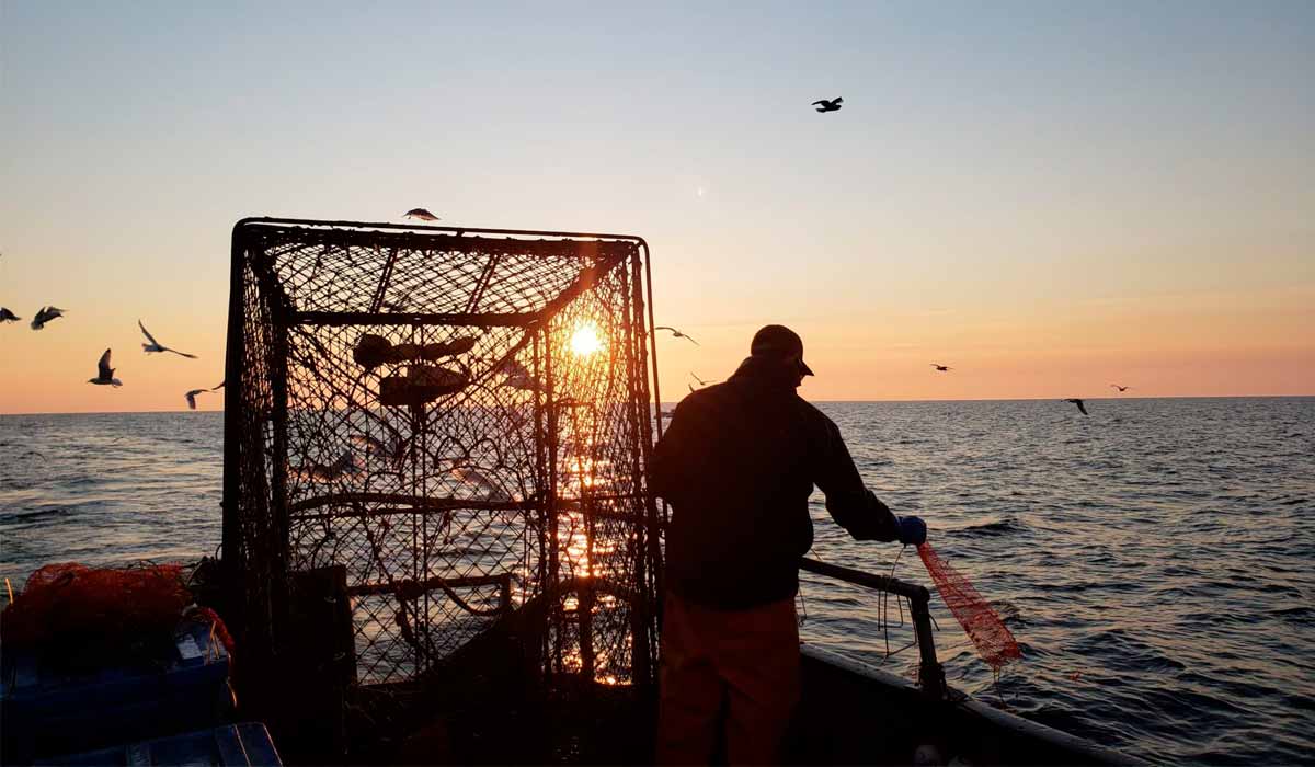 Pesca de frutos do mar