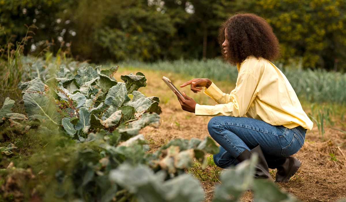 Pequena agricultora registrando seu produto