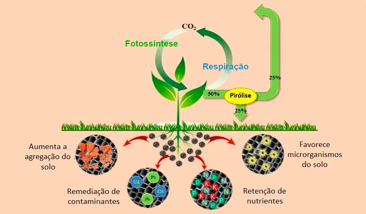 Benefícios do biochar. Traduzido de Vithanage et al., 2013