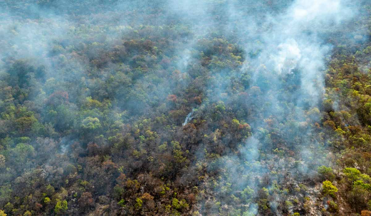 Área de queimada próxima ao território do povoado do Galhão - Foto: Fellipe Abreu