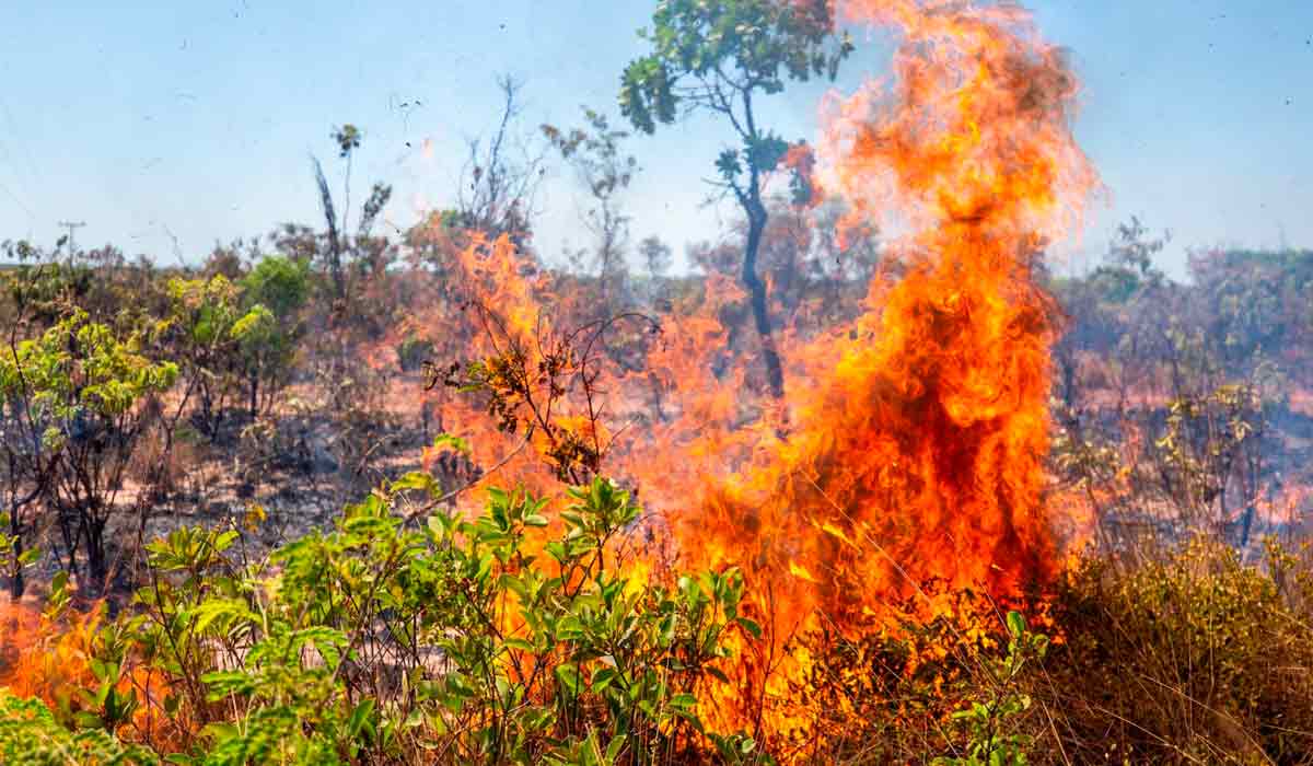 Queimada em área próxima ao Parque Estadual do Jalapão - Foto: Fellipe Abreu