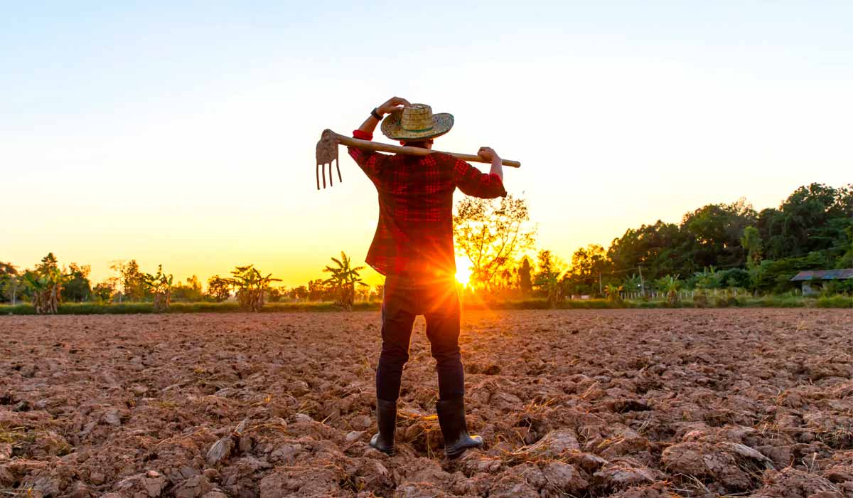 O produtor deverá estar preparado para enfrentar extremos climáticos