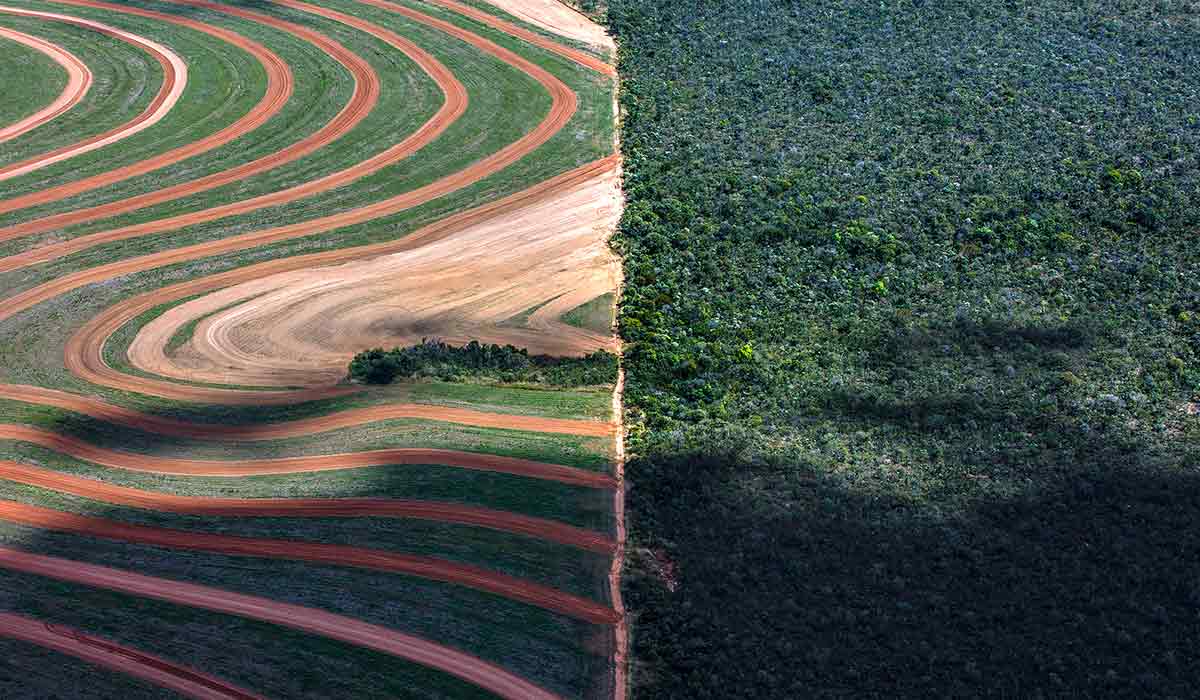 Agricultores familiares são afetadas pela pulverização aérea de agrotóxicos. Ações realizadas por aviões e drones do agronegócio estão cada vez mais agressivas e afetam a saúde das pessoas, além das plantações, animais e rios - Foto: Marizilda Cruppe/Greenpeace