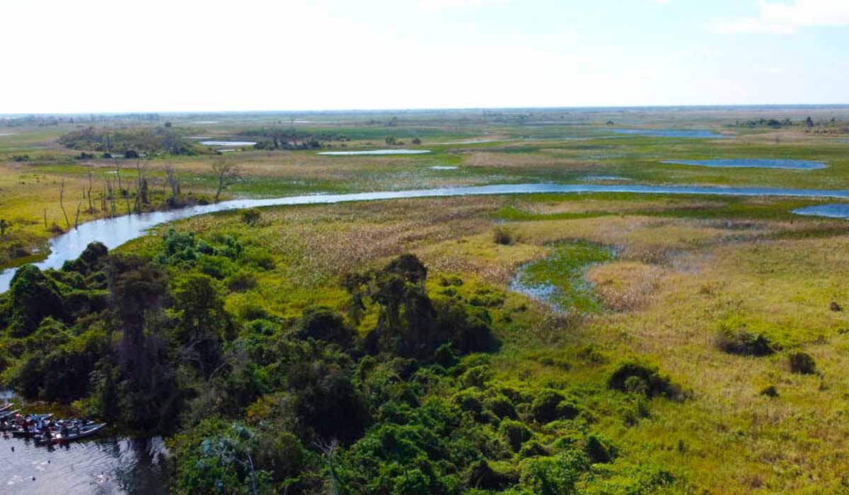 Pantanal, na região do Rio Paraguai-Mirim, a aproximadamente 200 km de Corumbá