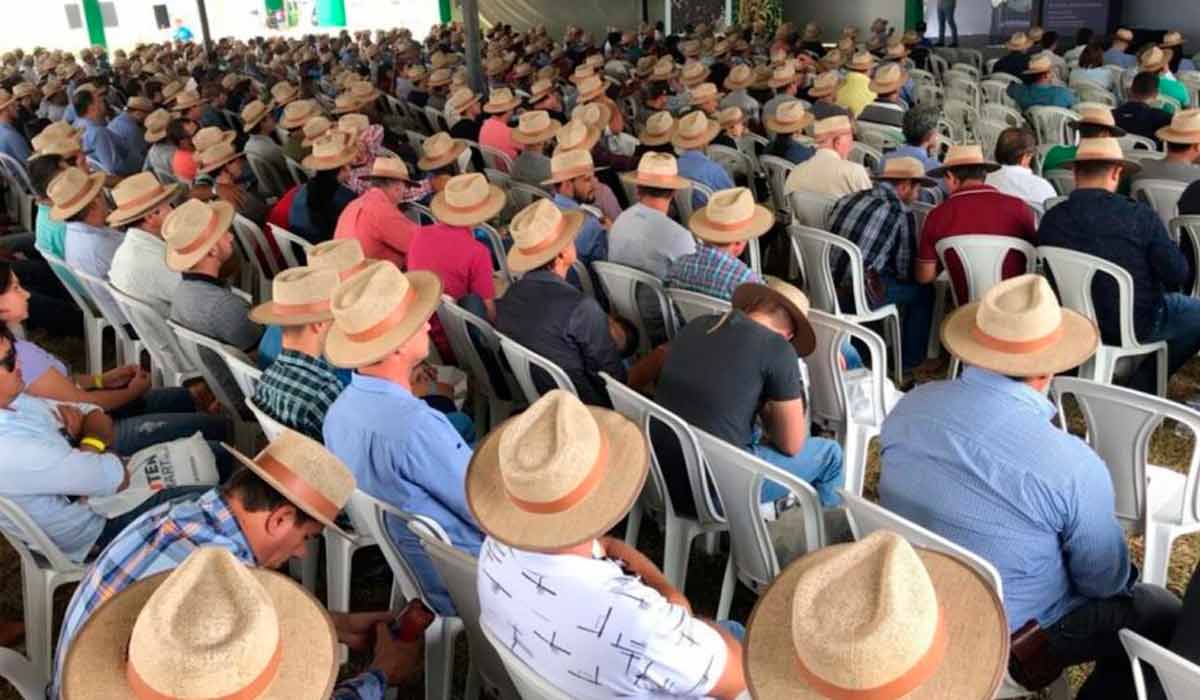 Público presente em atividade técnica na Agrotec