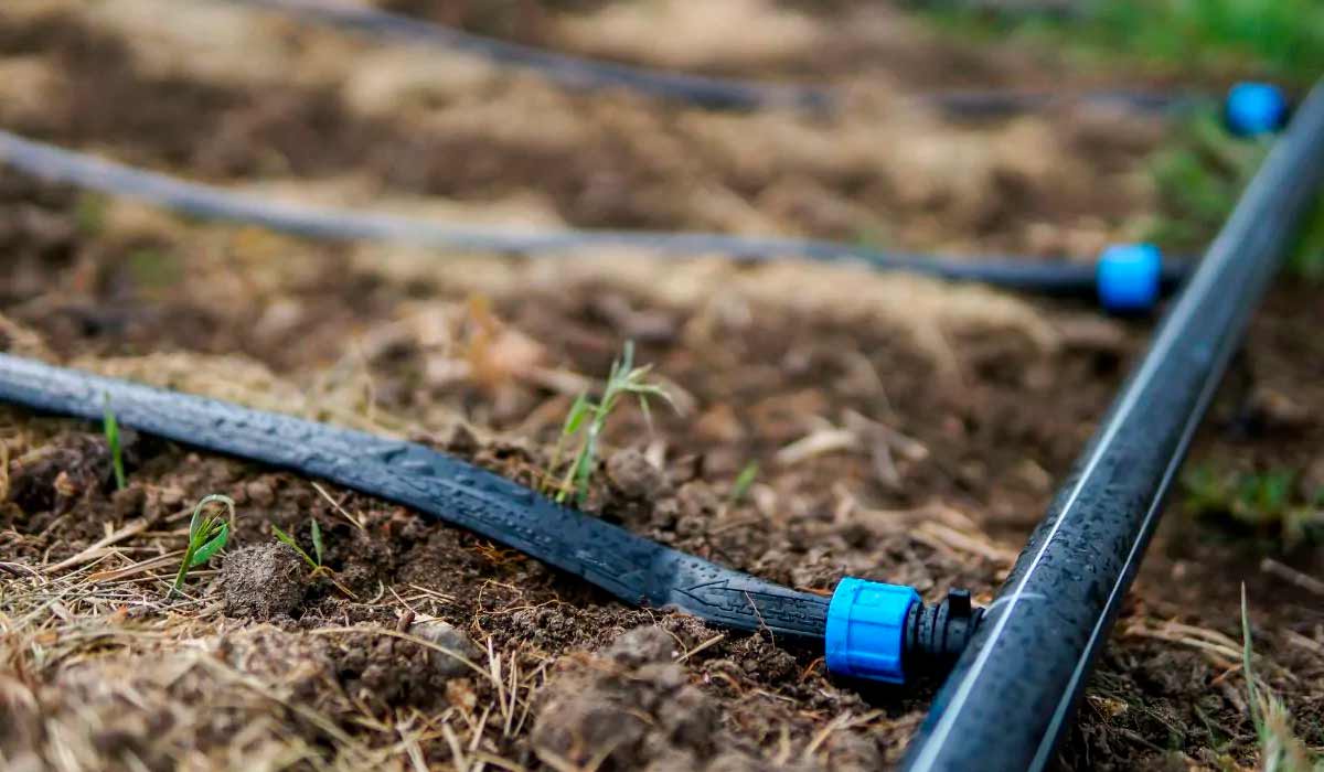 A irrigação por gotejamento permite fornecer água diretamente às raízes das plantas, reduzindo o desperdício e maximizando o aproveitamento dos recursos hídricos