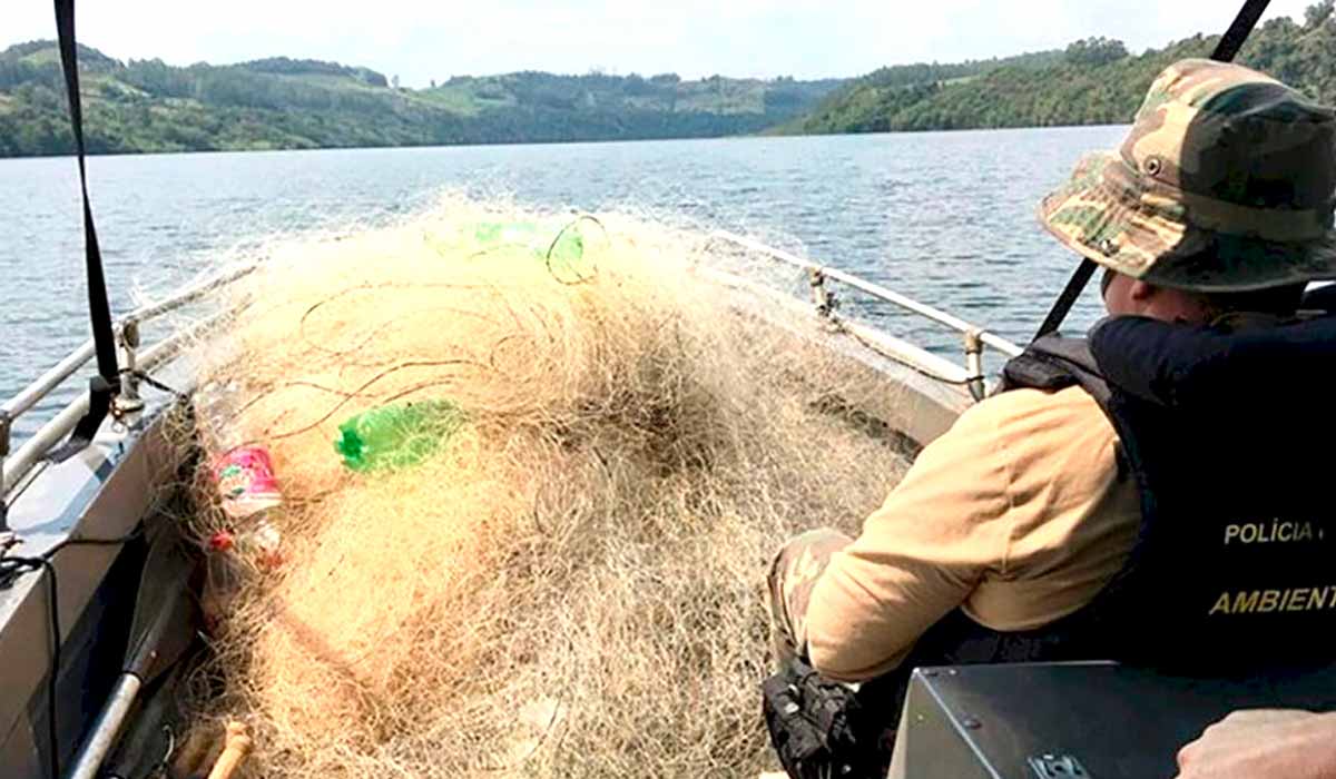 Fiscalização da Polícia Ambiental no período da piracema