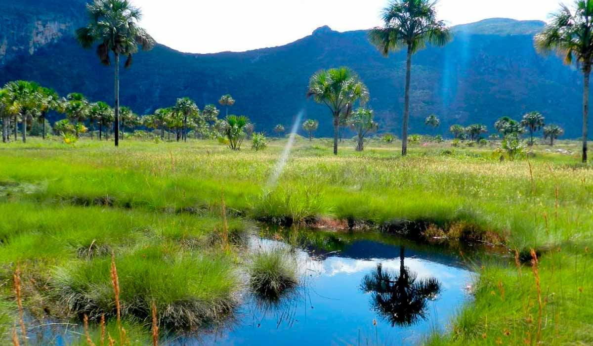 Paisagem da Serra do Espinhaço - Foto: Eduardo Gomes