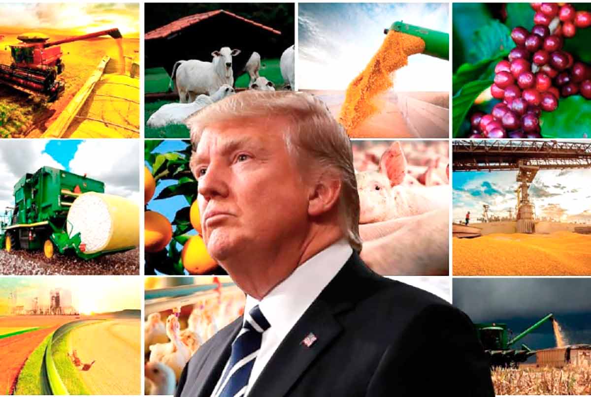 Novo governo Trump eleva incertezas para o agronegócio brasileiro