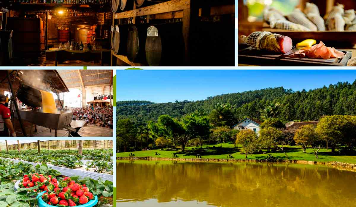 O potencial do agroturismo de alto padrão em resorts e hotéis