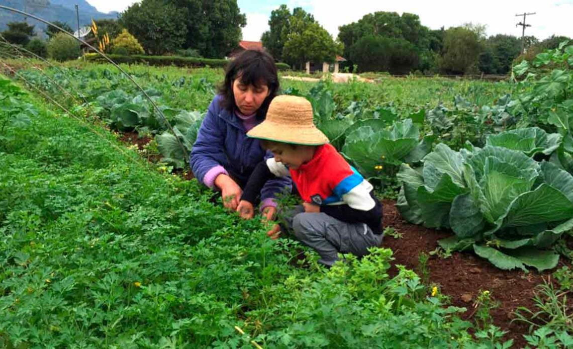 Propriedade agroecológica - Foto: Viagens que sonhamos